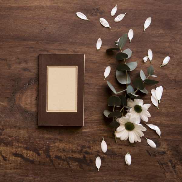 plain old book